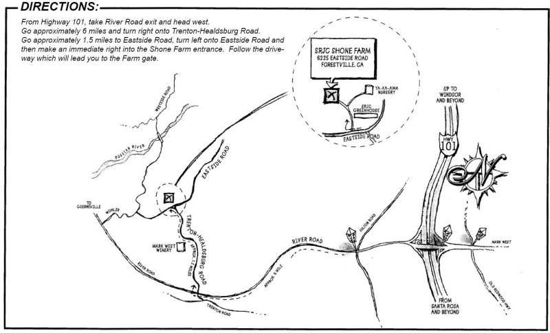 Description: Description: Shone